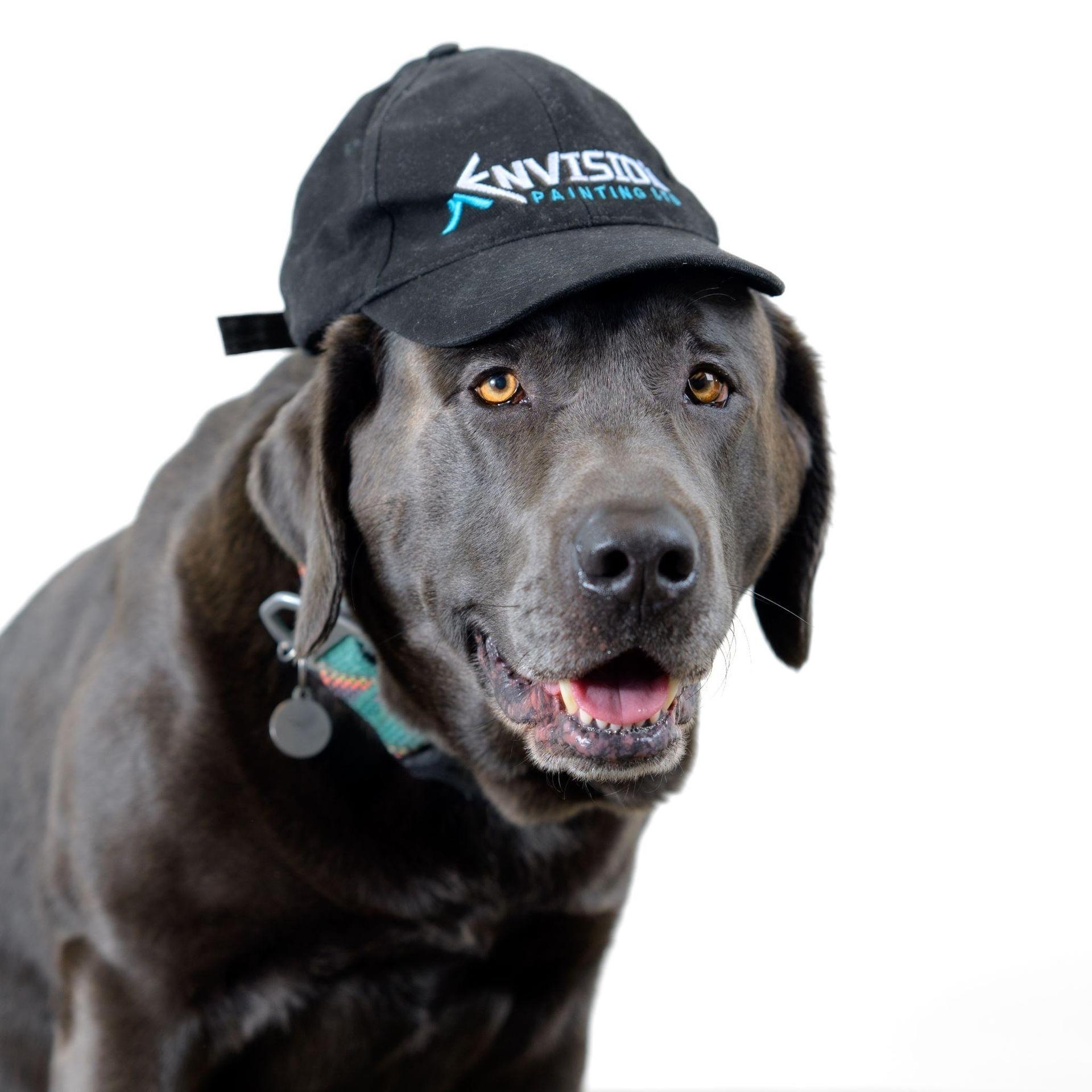 Pluto - K9 Painting Team