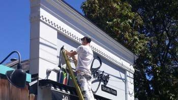 Professional Painters